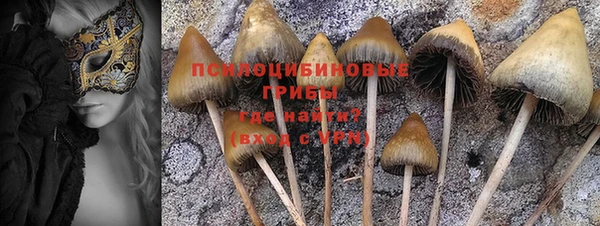 2c-b Нязепетровск