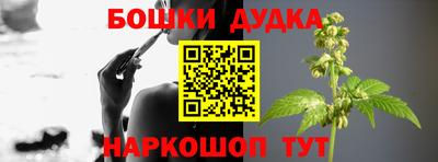 индика Бийск
