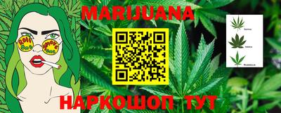 индика Бийск