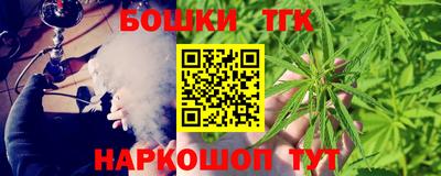 индика Бийск