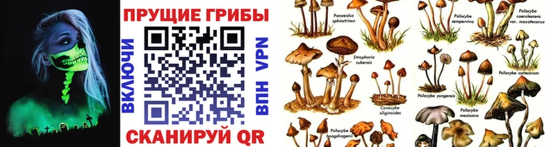Псилоцибиновые грибы MAGIC MUSHROOMS  закладка  Бугуруслан 