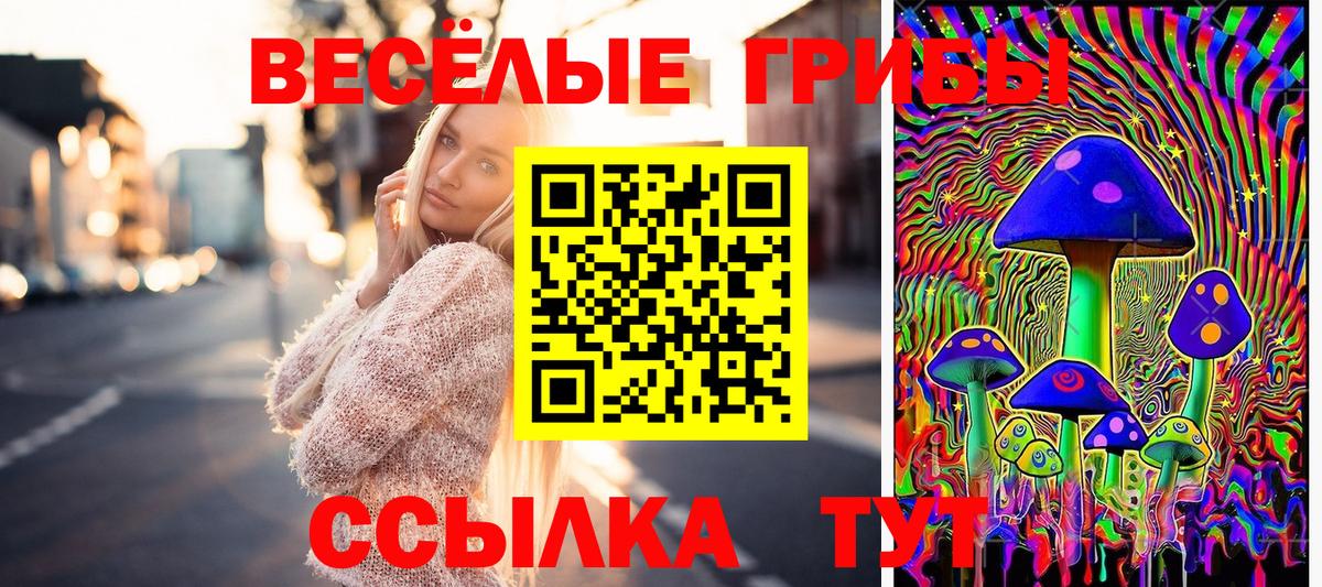 Псилоцибиновые грибы мицелий Бугуруслан