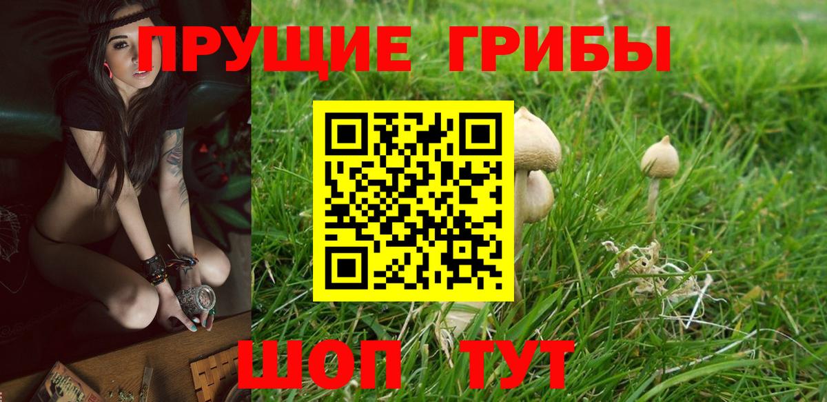 Псилоцибиновые грибы мицелий  как найти закладки  Бугуруслан 