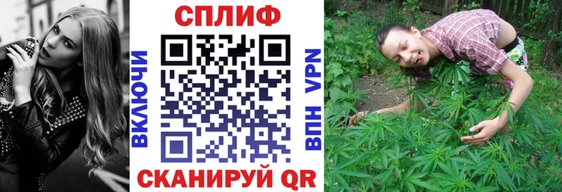 Бошки марихуана индика  продажа наркотиков  Бугуруслан 